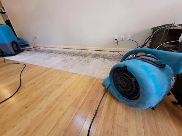 Professional Sewage Cleanup technician working in Helmetta, NJ